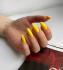Gel Polish № 02 JL, 7 ml